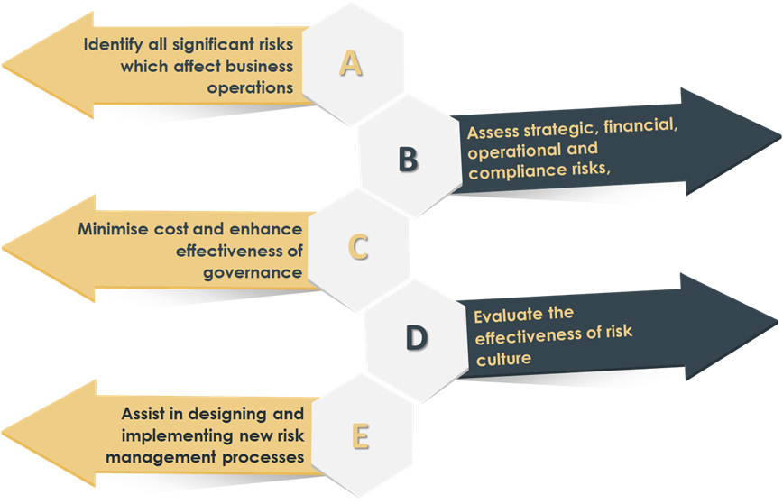 enterprise-risk-management-and-internal-audit